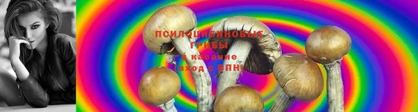 наркотики Михайлов