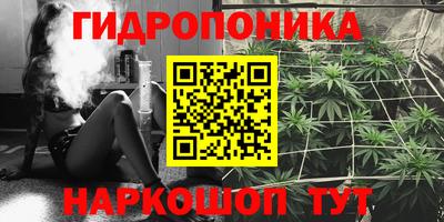 ECSTASY Донской